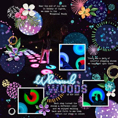 Whimsical Woods