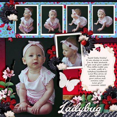 Ladybug