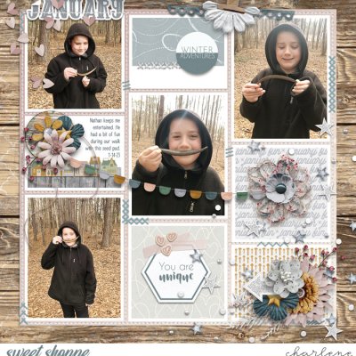 Winter Adventures