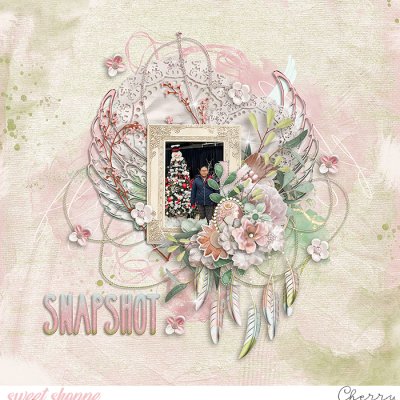 Snapshot