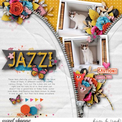 Jazzi