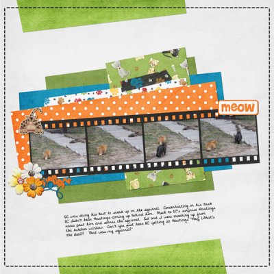 Filmstrip Challenge
