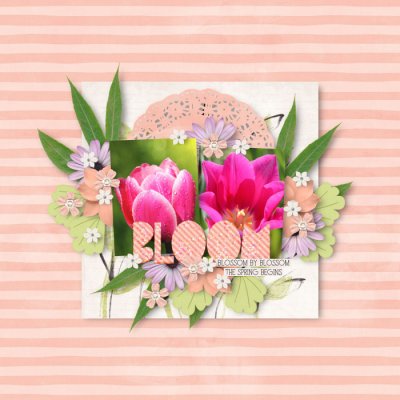 Bloom
