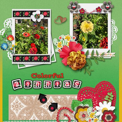 Colorful Zinnias