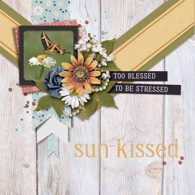 Sun-Kissed