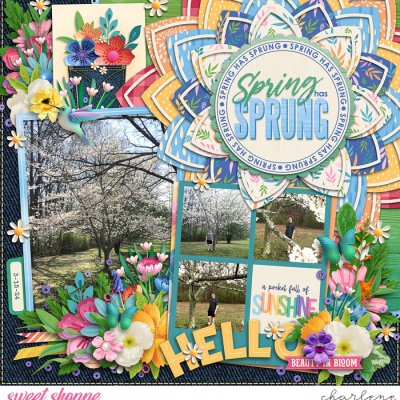 Spring Has Sprung