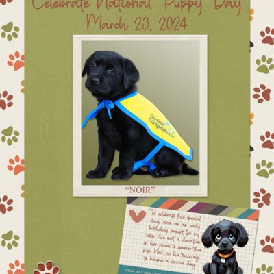 Celebrate National Puppy Day