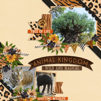 Animal Kingdom