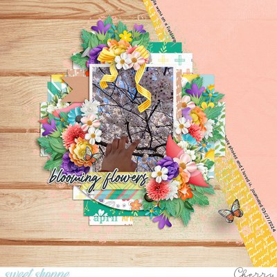 Blooming Flowers