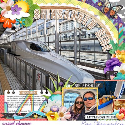 shinkansen ride