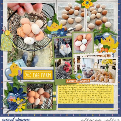 The Egg Farm