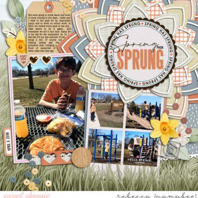Spring has Sprung