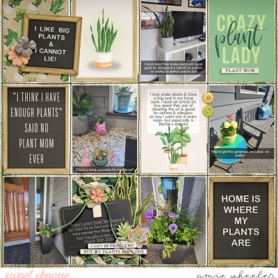 Crazy Plant Lady