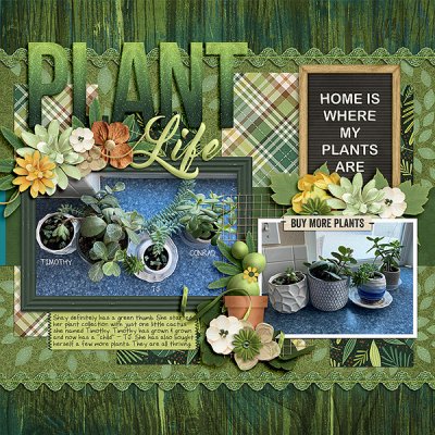 Plant Life