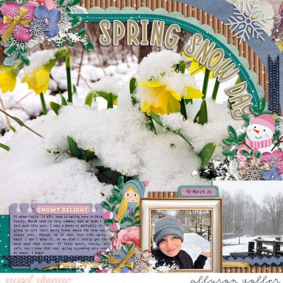 Spring Snow Day
