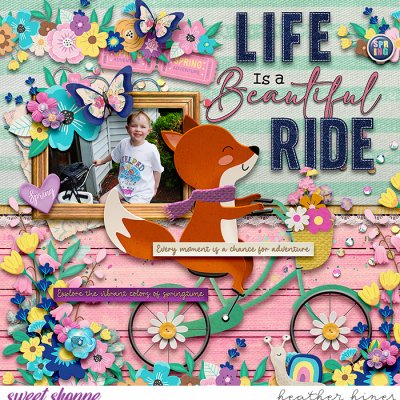 A Beautiful Ride