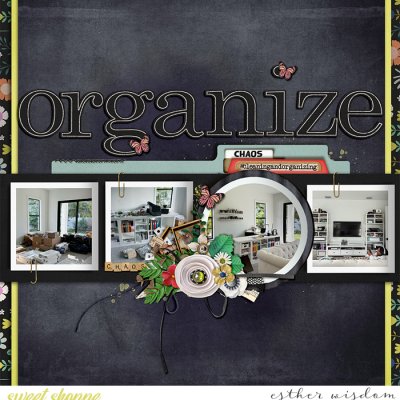 Chaos Organizer