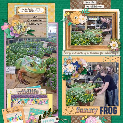 An Unexpected Discovery at the Garden Center