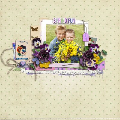 Spring Pansy