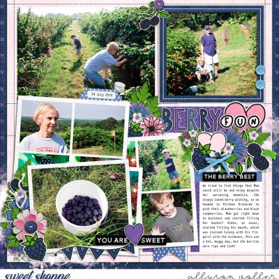 Berry Fun