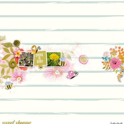 Spring Has Sprung