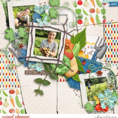 Vegetable Garden