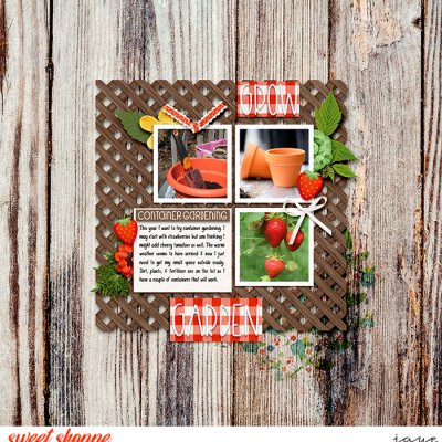 Container Gardening