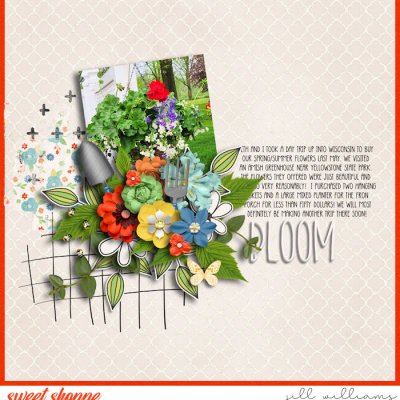 Flowers