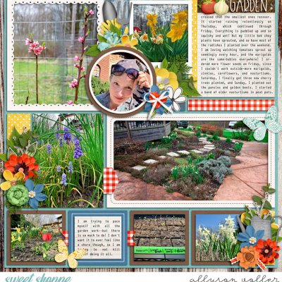 2024 15 week garden notes 01