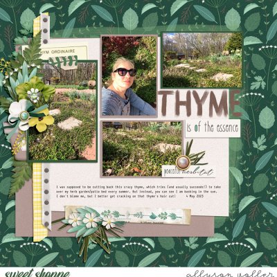 2024 15 week garden notes 01
