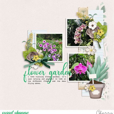 Flower Garden