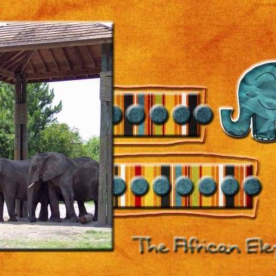Jacksonville Zoo Page 2
