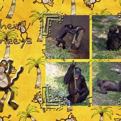 Jacksonville Zoo Page 4