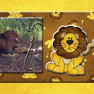 Jacksonville Zoo Page 11
