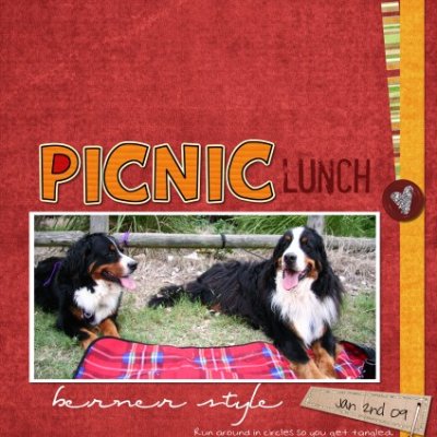 picnic lunch