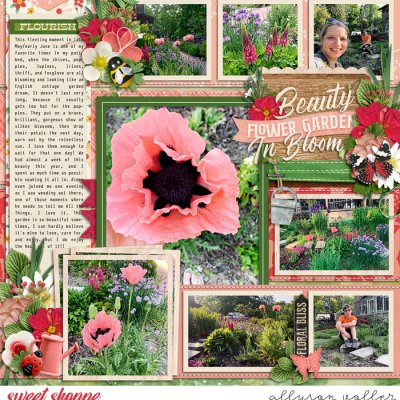 Beauty In Bloom