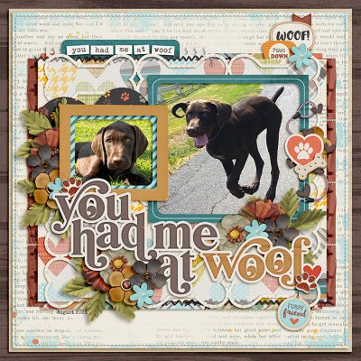 You Had Me at Woof