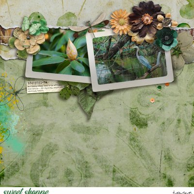 iNSD 2024 Scrap Your Heart Out: Template Challenge