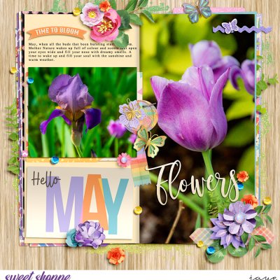 iNSD 2024 Scrap Your Heart Out: Designer Mash Up