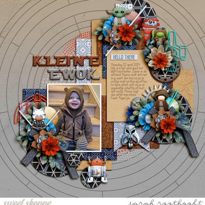 Kleine Ewok