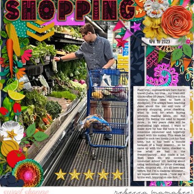 Grocery Shopping
