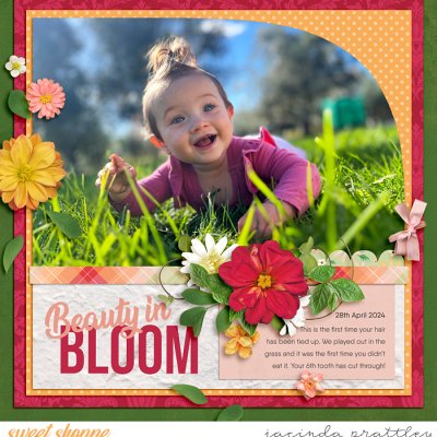 Beauty in bloom