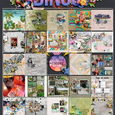 iNSD 2024 BINGO