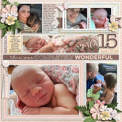 2023 Week 15