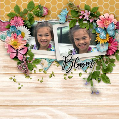 Bloom and Grow