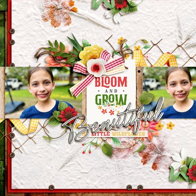 Bloom & Grow Beautiful Little Wildflower