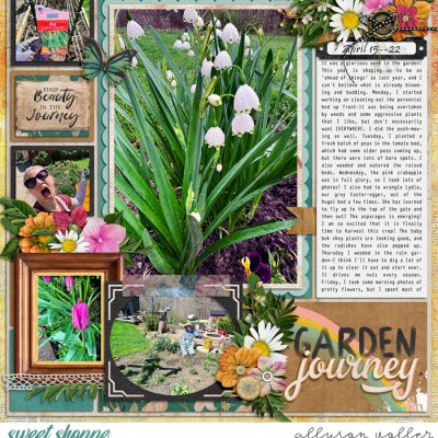 2024 16 week garden notes left