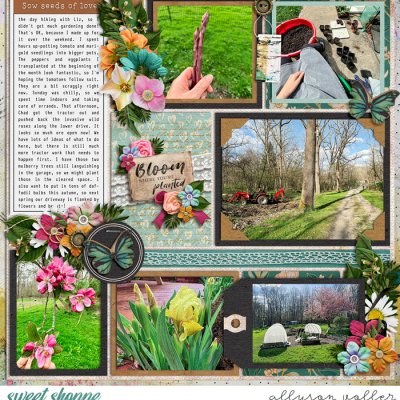 2024 16 week garden notes right
