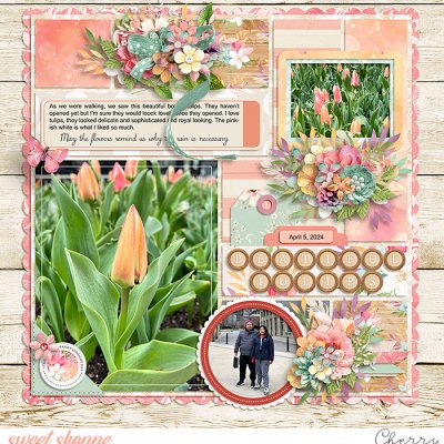 Beautiful Tulips