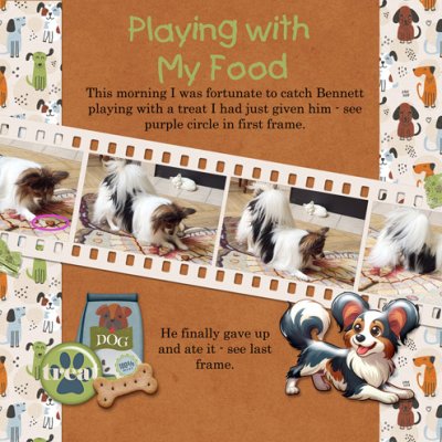Playing With My Food